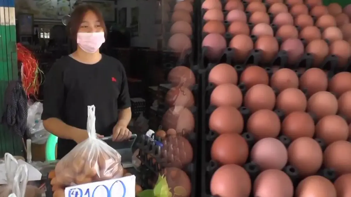 พ่อค้า-ปชช.โอดหนักไข่ไก่ปรับราคาขึ้น เฉลี่ยแผงละ3บาท พ่อค้า-ปชช.โอดหนักไข่ไก่ปรับราคาขึ้น เฉลี่ยแผงละ3บาท