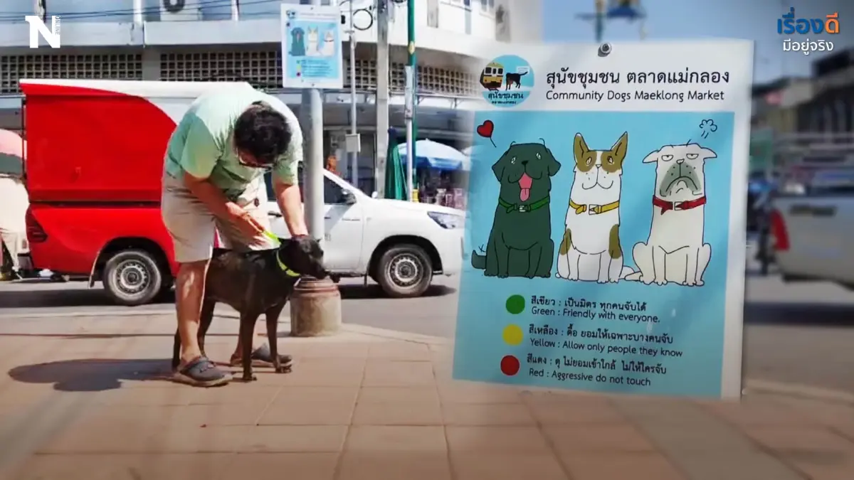 เริ่มจากเป็นคนรักหมา ทำปลอกคอจัดระเบียบสุนัขจรจัด