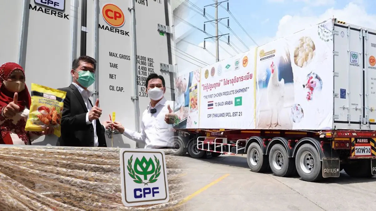 ไทยส่งไก่ซาอุดีอาระเบีย 'ล็อตแรก' ในรอบ 18 ปี