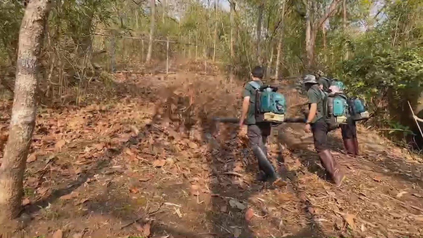 สวนสัตว์เชียงใหม่รับมือฤดูร้อนทำแนวกันไฟป่า