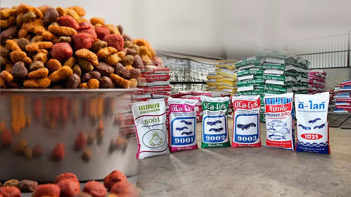 ยอดขายลดฮวบ! ร้าน 'อาหารสัตว์' จ่อปิดกิจการ