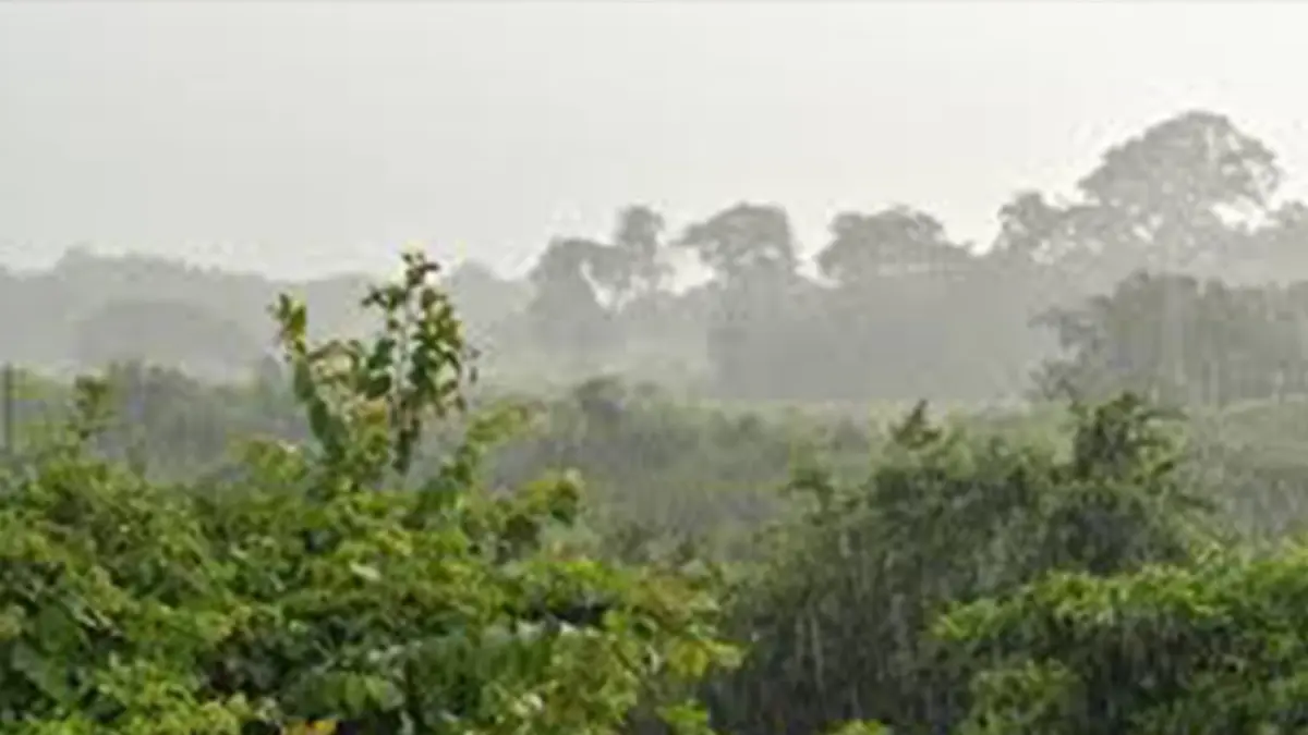พยากรณ์อากาศวันนี้ ฝนฟ้าคะนองกับมีลมกระโชกแรงทั่วทุกภาค อีสานหนัก พยากรณ์อากาศวันนี้ ฝนฟ้าคะนองกับมีลมกระโชกแรงทั่วทุกภาค อีสานหนัก