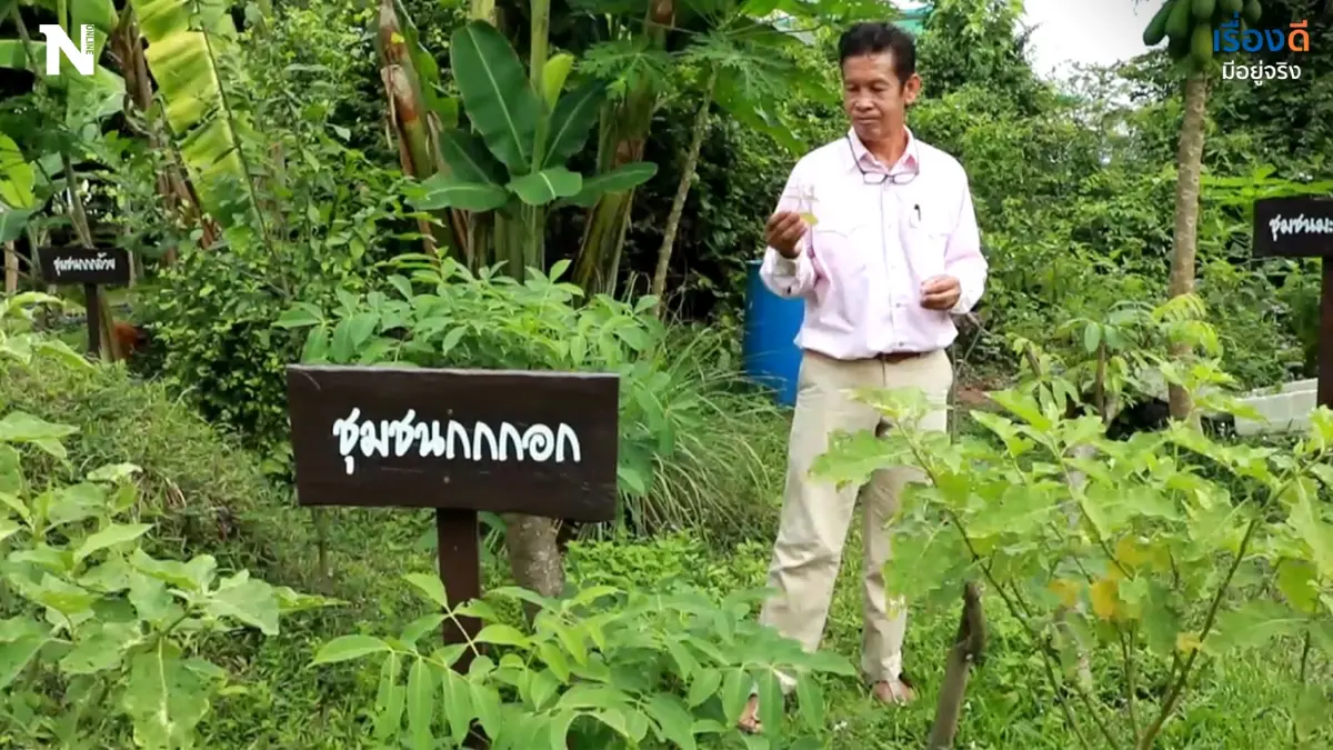 ครูสอนศิลปะทุ่มเทเพื่องานเกษตร ตั้งตัวเองเป็นรัฐมนตรีตรวจแปลงผักทุกเช้า ครูสอนศิลปะทุ่มเทเพื่องานเกษตร ตั้งตัวเองเป็นรัฐมนตรีตรวจแปลงผักทุกเช้า