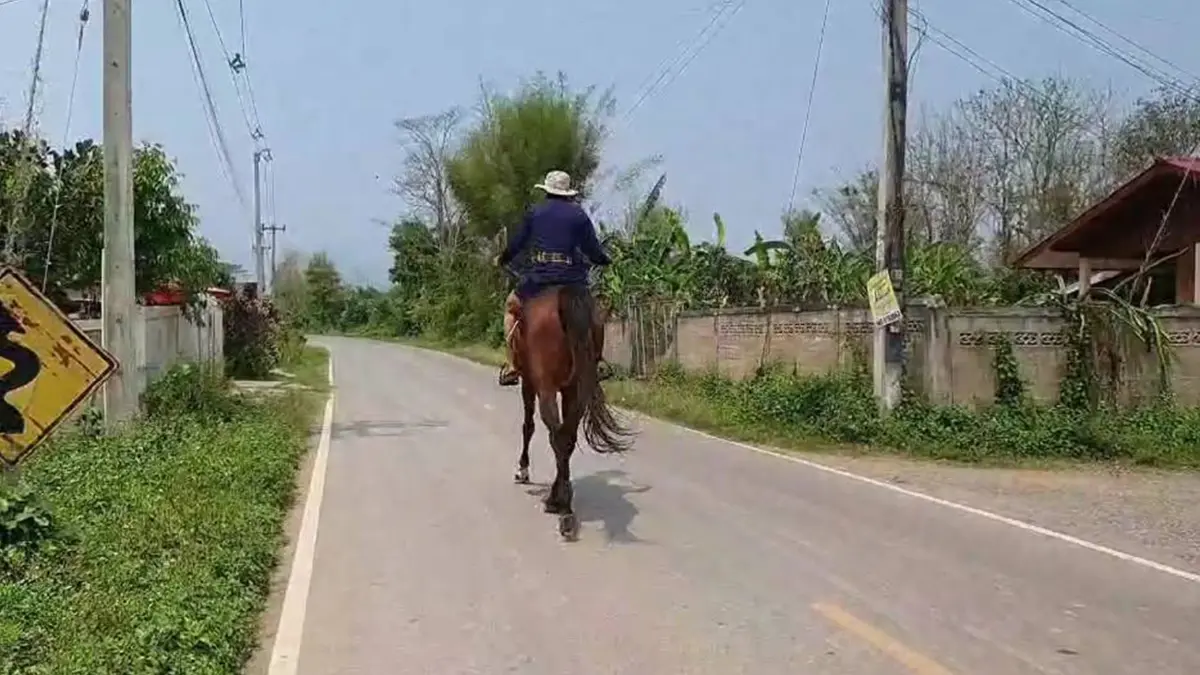น้ำมันแพงเกินจอดรถไว้ที่บ้านขี่ม้าไปทำงานแทน