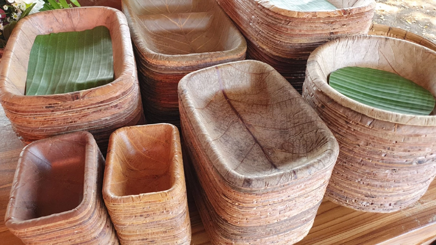 แปรรูป"ใบตองตึง"สร้างรายได้งามลดปัญหาหมอกควัน-ไฟป่า