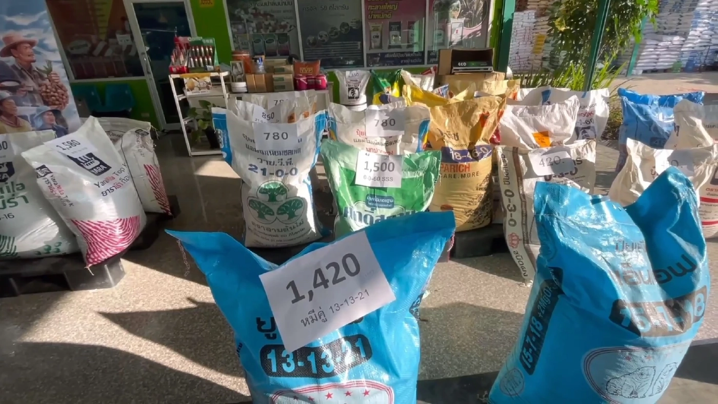 ชาวสวนปรับตัวสู้ปุ๋ยแพง ซื้อแม่ปุ๋ยผสมสูตรเอง