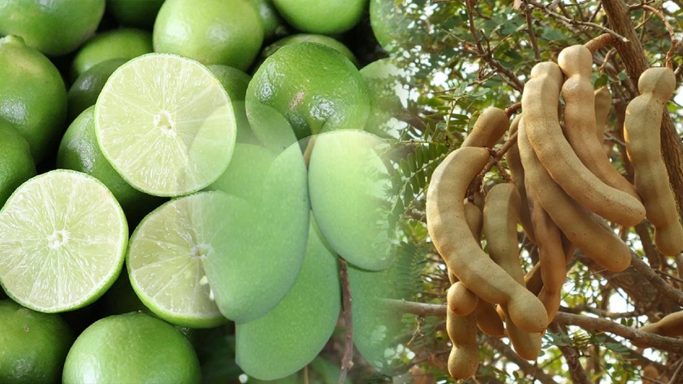 พาณิชย์แนะใช้ 'มะม่วง-มะขาม' แทน มะนาวแพง!