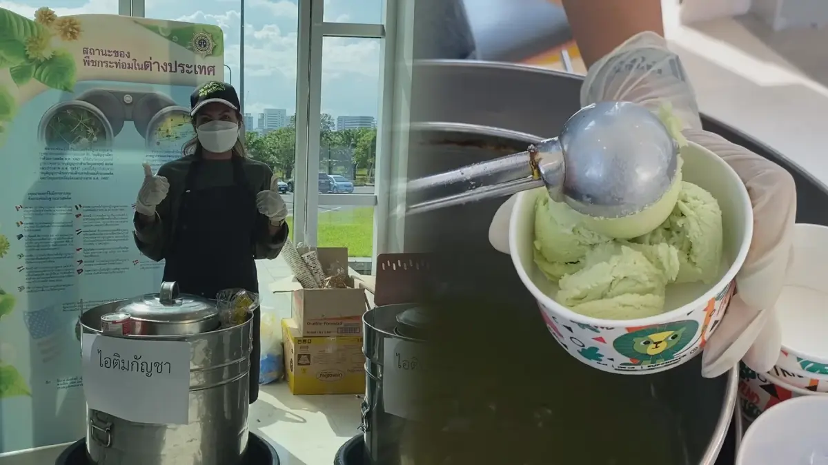 แจ้งเกิด "ไอติมกัญชา-กระท่อม" ผลงานวิสาหกิจฯครูหวัด