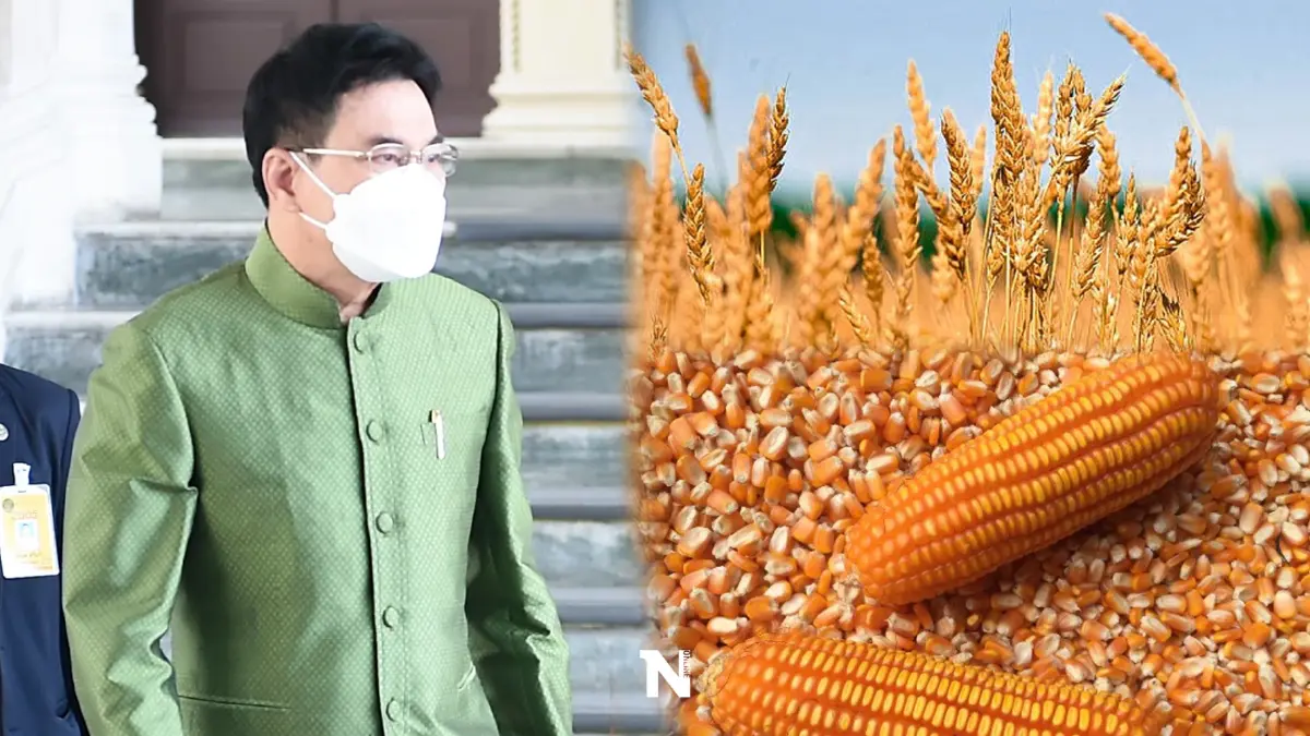 “จุรินทร์” สั่งประชุมด่วน ถกแก้ราคาอาหารสัตว์ พรุ่งนี้ (23 มี.ค.) “จุรินทร์” สั่งประชุมด่วน ถกแก้ราคาอาหารสัตว์ พรุ่งนี้ (23 มี.ค.)