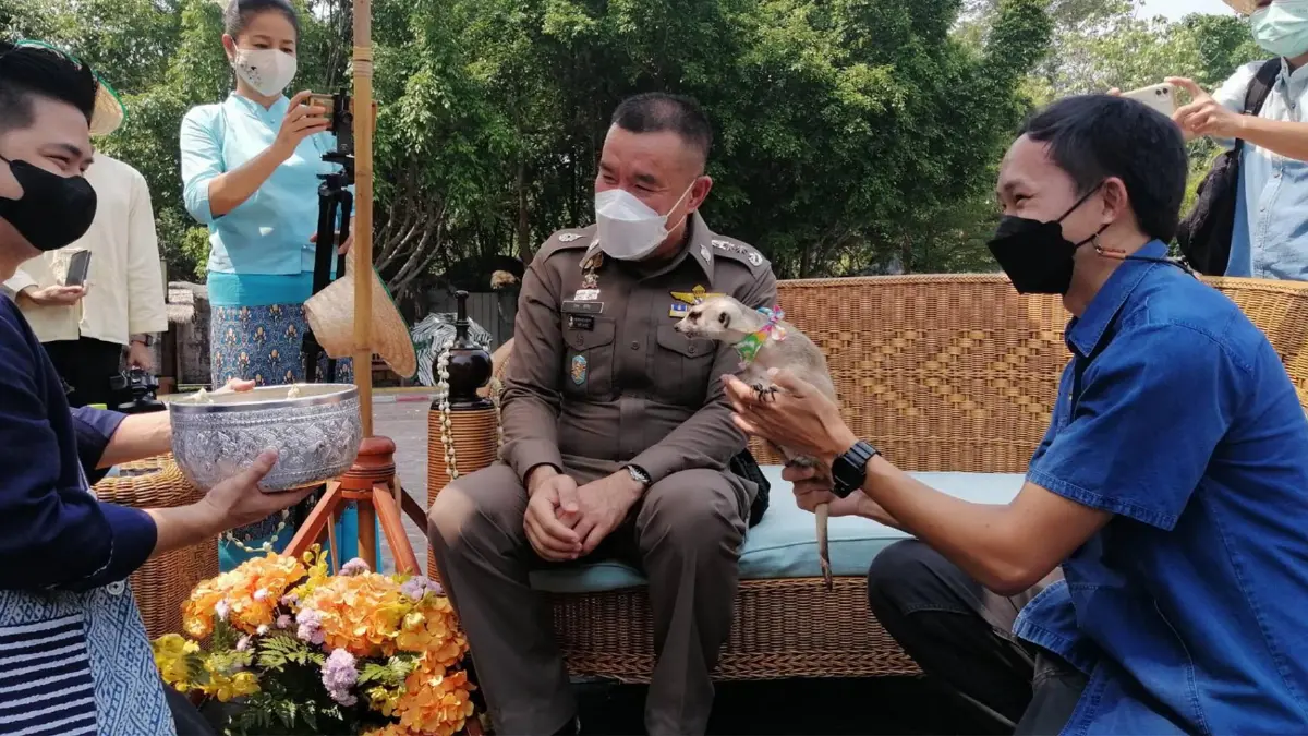 เชียงใหม่​ไน​ท์ซาฟารีจัดขบวนสัตว์​น่ารักดำหัวสร้างสีสันวันสงกรานต์​