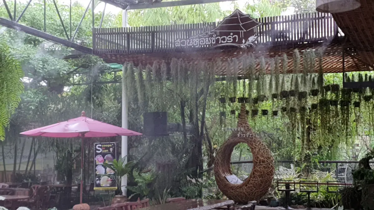 ไฟเขียวขายแอลกอฮอล์ร้านอาหารเชียงใหม่คึกคักทั้งจังหวัด