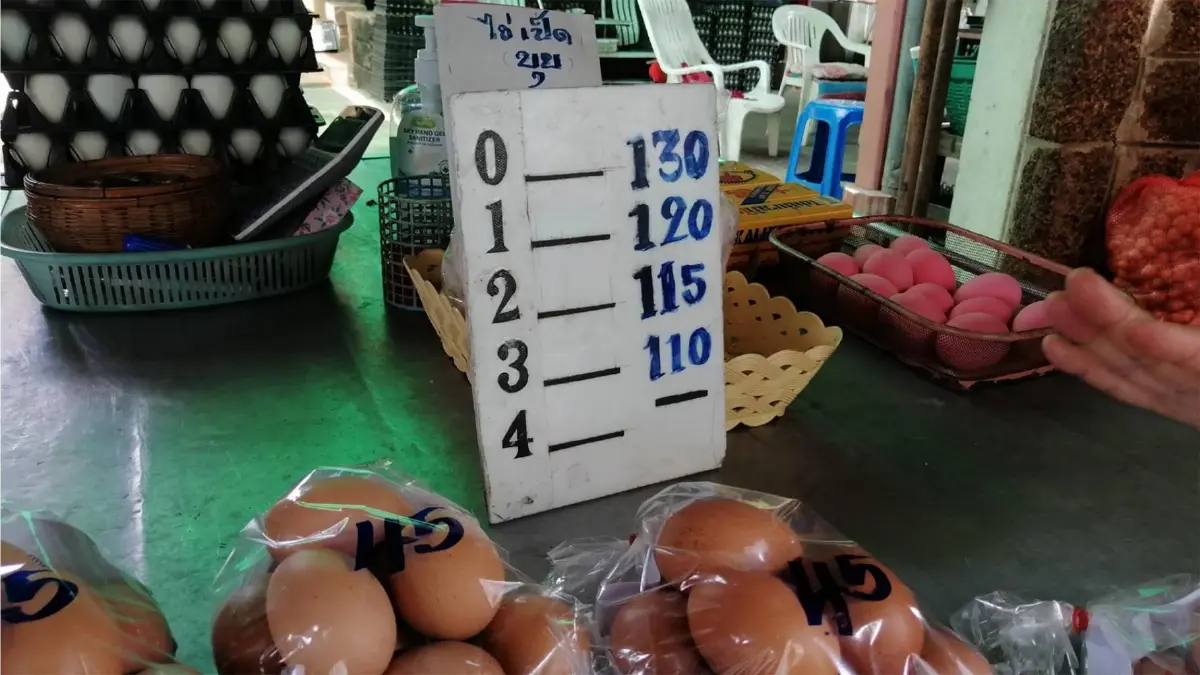 แผงไข่เชียงใหม่ตรึงราคาสู้พิษเศรษฐกิจ แผงไข่เชียงใหม่ตรึงราคาสู้พิษเศรษฐกิจ
