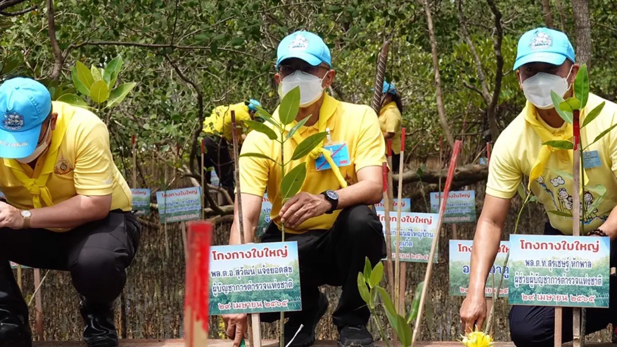 ผบ.ตร. จิตอาสารักษ์ป่าชายเลนหาดท่าหลา ภูเก็ต
