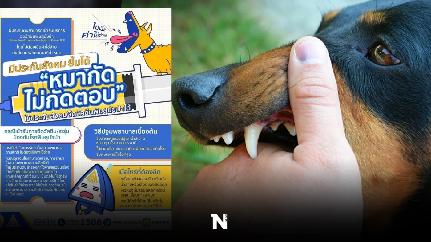 เช็กสิทธิประกันสังคม ฉีดวัคซีนพิษสุนัขบ้า มีเสียค่าใช้จ่ายหรือไม่ เช็กสิทธิประกันสังคม ฉีดวัคซีนพิษสุนัขบ้า มีเสียค่าใช้จ่ายหรือไม่