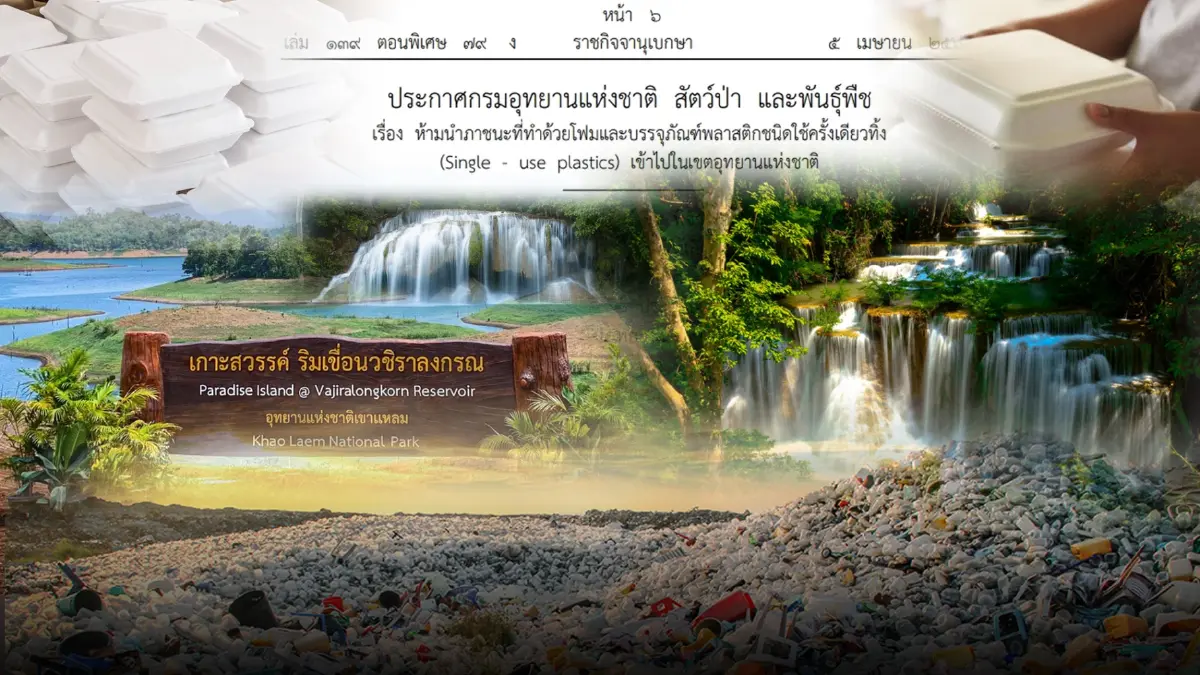 ห้ามนำ"ภาชนะโฟม"เข้าอุทยานฯทุกแห่ง ฝ่าฝืนโดนปรับหนัก ประกาศลง"ราชกิจจาฯ"