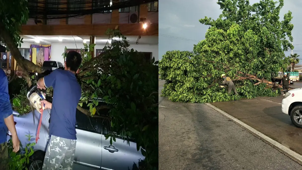 พายุฝนกระหน่ำภาคเหนือ เชียงใหม่-ลำปาง อ่วมเสียหายหนัก พายุฝนกระหน่ำภาคเหนือ เชียงใหม่-ลำปาง อ่วมเสียหายหนัก