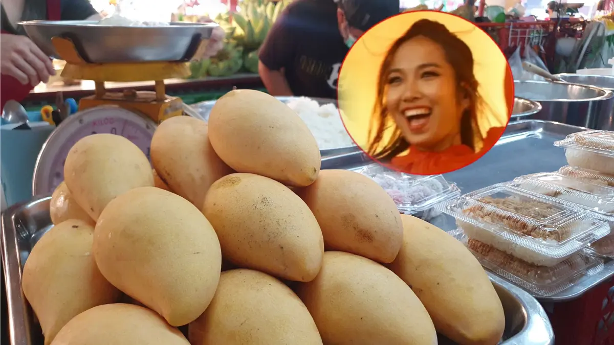 "มิลลิ"ฟีเวอร์ ออเดอร์ข้าวเหนียวมะม่วงเชียงใหม่ ยอดขายพุ่งเท่าตัว