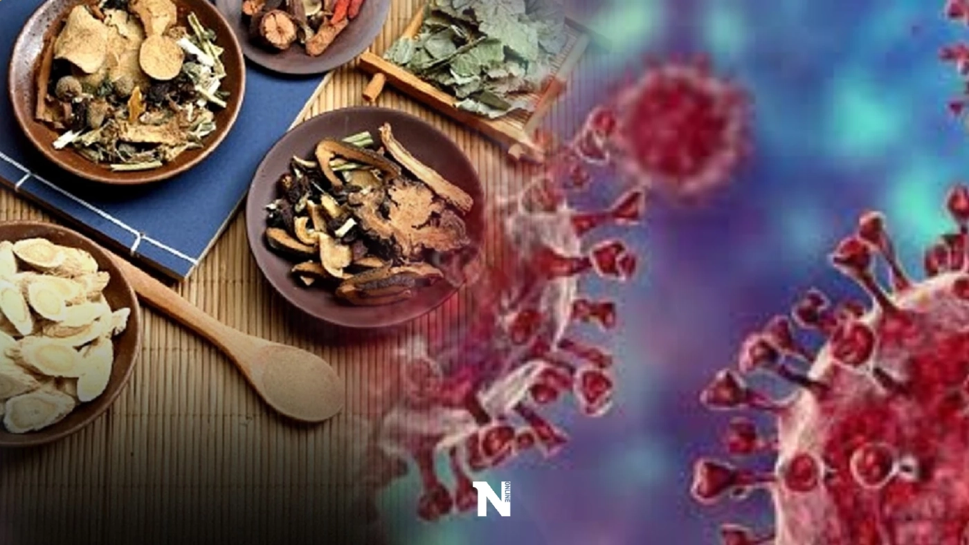 นักวิชาการร่วมจัดงานวิจัยสมุนไพรและเห็ดยาต้านโควิด-19