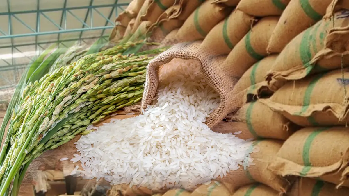 ไทยตั้งเป้าส่งออก 'ข้าว' 7 ล้านตัน เพิ่มขึ้น 14.38% จากปีก่อน