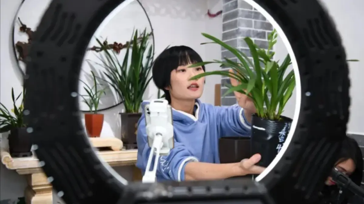 จีนคุมเข้ม "ไลฟ์สดขายของ" ป้องกันการหลอกลวง-เลี่ยงภาษี จีนคุมเข้ม "ไลฟ์สดขายของ" ป้องกันการหลอกลวง-เลี่ยงภาษี