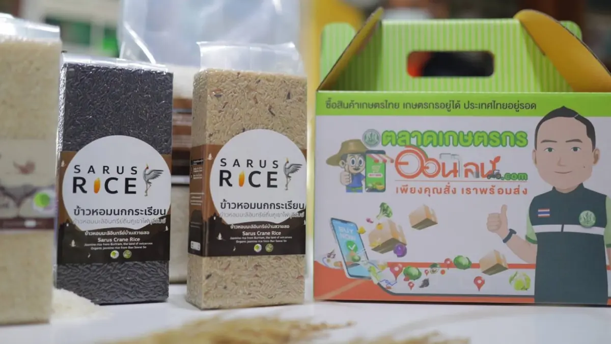 สร้างแบรนด์ ยกระดับ "ข้าวบุรีรัมย์" รายได้มั่นคง สร้างแบรนด์ ยกระดับ "ข้าวบุรีรัมย์" รายได้มั่นคง