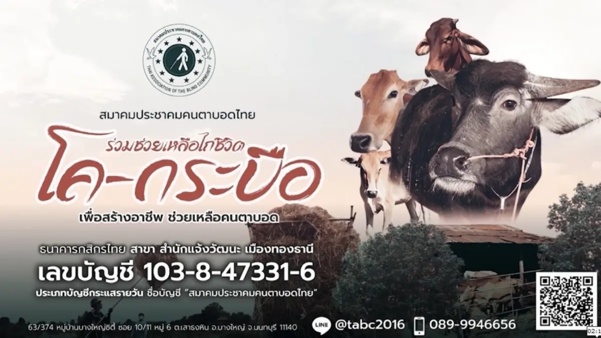 สมาคมประชาคมคนตาบอดไทย ร่วมช่วยเหลือไถ่ชีวิต โค-กระบือ เพื่อสร้างอาชีพ ช่วยเหลือคนตาบอด สมาคมประชาคมคนตาบอดไทย ร่วมช่วยเหลือไถ่ชีวิต โค-กระบือ เพื่อสร้างอาชีพ ช่วยเหลือคนตาบอด