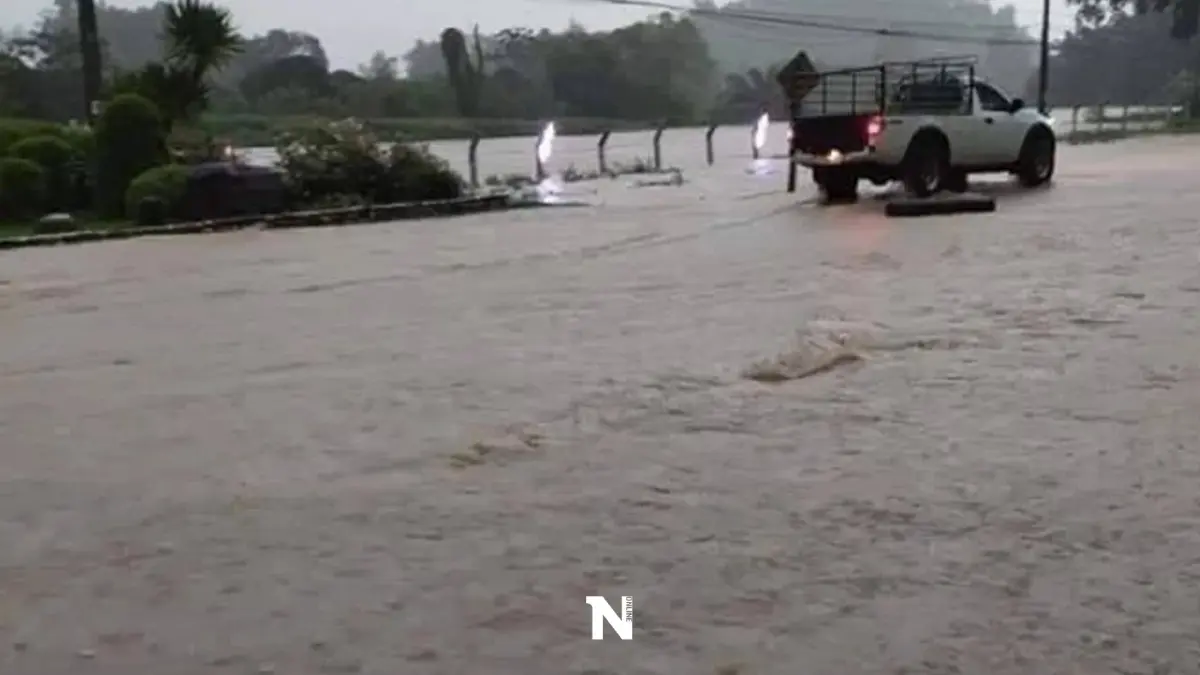 เช็กที่นี่ กรมอุตุฯ เปิดรายชื่อ จังหวัดปริมาณฝนสูงสุด เสี่ยงภัยน้ำท่วม เช็กที่นี่ กรมอุตุฯ เปิดรายชื่อ จังหวัดปริมาณฝนสูงสุด เสี่ยงภัยน้ำท่วม