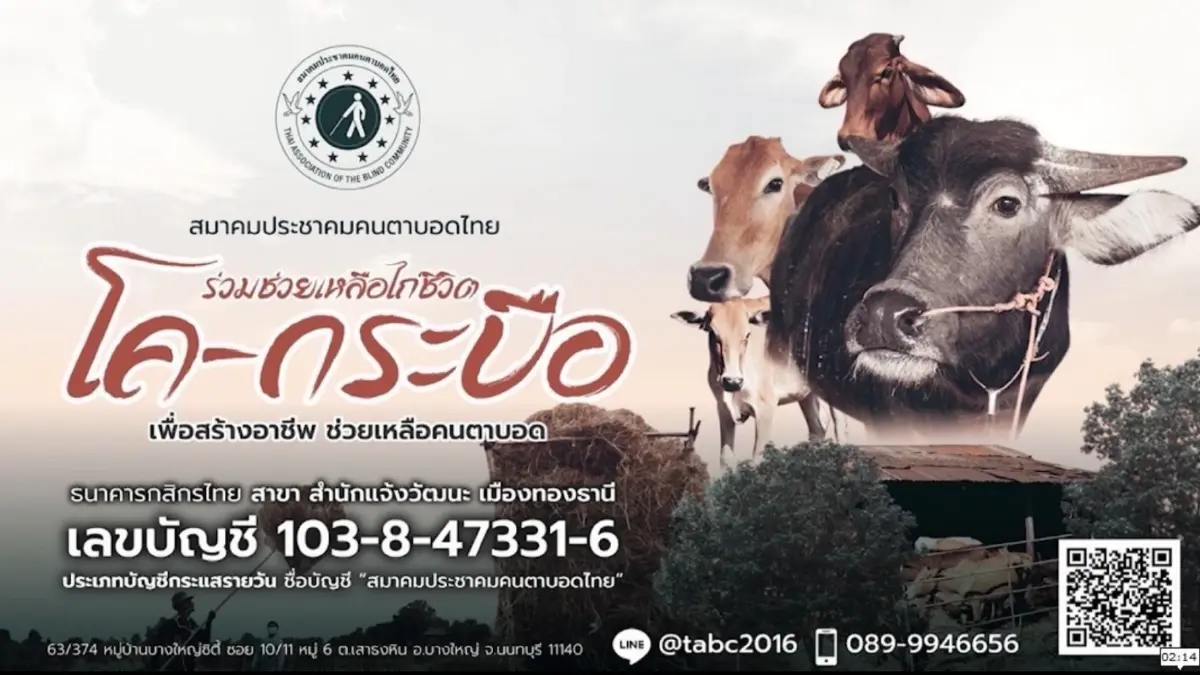 สมาคมประชาคมคนตาบอดไทย ร่วมช่วยเหลือไถ่ชีวิต โค-กระบือ เพื่อสร้างอาชีพ ช่วยเหลือคนตาบอด สมาคมประชาคมคนตาบอดไทย ร่วมช่วยเหลือไถ่ชีวิต โค-กระบือ เพื่อสร้างอาชีพ ช่วยเหลือคนตาบอด