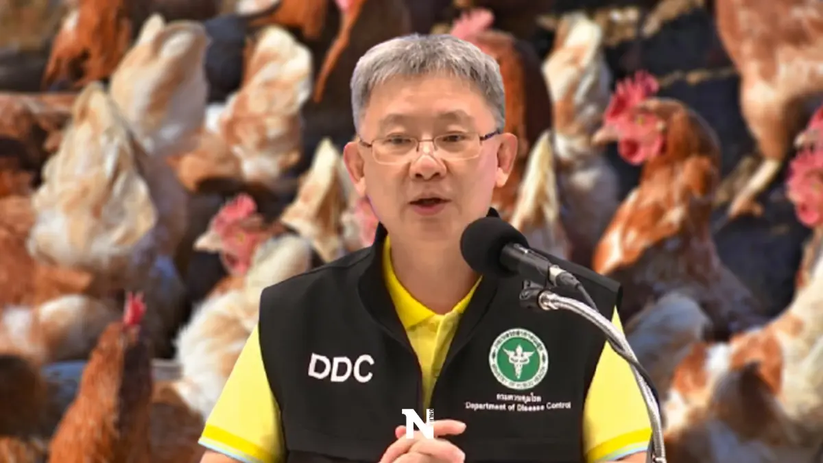 กรมควบคุมโรค เฝ้าระวัง"ไข้หวัดนก H3N8" แนะปรุงไก่ให้สุกก่อนรับประทาน