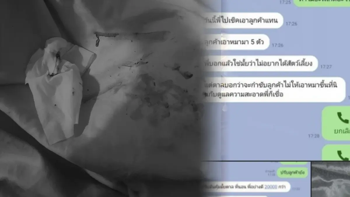ดราม่าลูกค้าปล่อยหมาอึหมกผ้าห่มรีสอร์ต ล่าสุดเจ้าของหมาเคลื่อนไหวแล้ว ดราม่าลูกค้าปล่อยหมาอึหมกผ้าห่มรีสอร์ต ล่าสุดเจ้าของหมาเคลื่อนไหวแล้ว