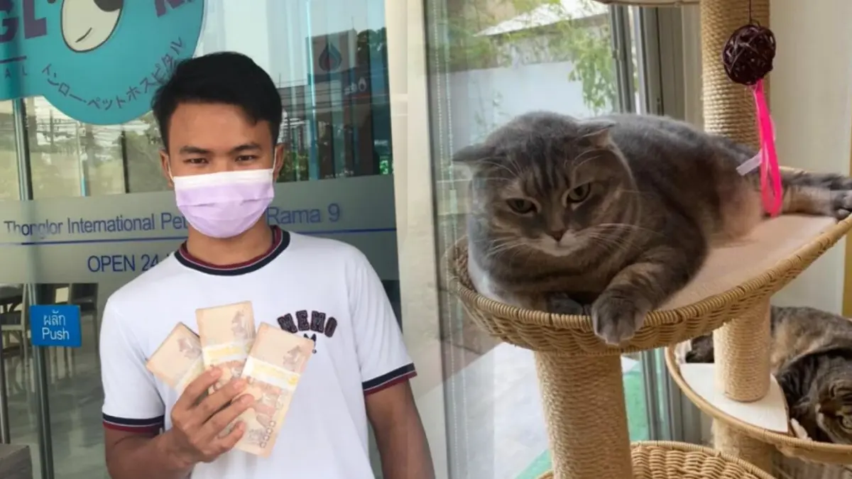 ตามสัญญา เจ้าของแมวมอบ 3 แสนบาท ให้ รปภ.หนุ่ม สินน้ำใจตามหา "มณี"