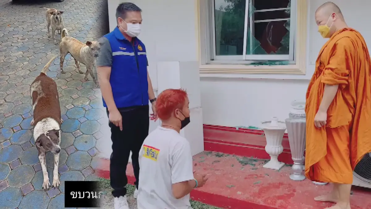 เลี้ยงไม่เสียข้าวสุกหมาวัดช่วยจับโจร
