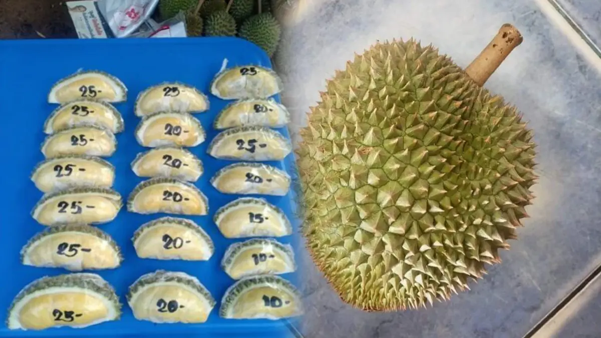 ผุดไอเดียเหมาทุเรียนเพื่อนมาขาย 10 บาท ลูกค้าซื้อคึกคัก ผุดไอเดียเหมาทุเรียนเพื่อนมาขาย 10 บาท ลูกค้าซื้อคึกคัก