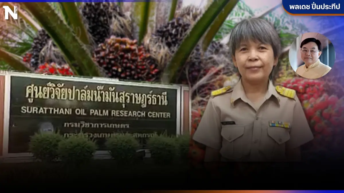 ส่อง"วิจัยนวัตกรรมปาล์มน้ำมัน" สุราษฎร์ธานี ผลผลิตและก้าวหน้าเชิงคุณภาพ