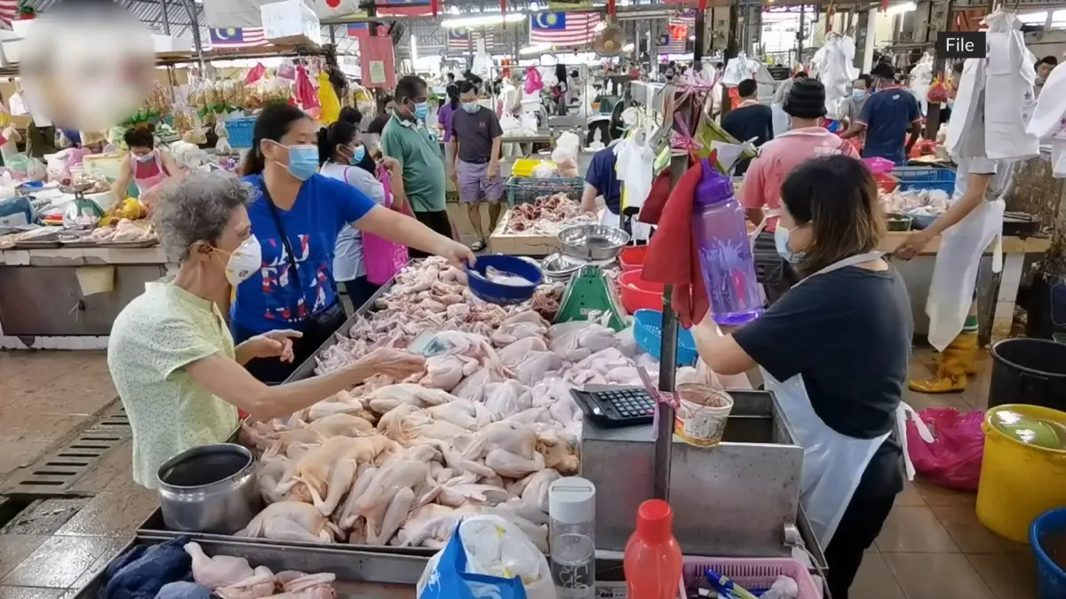 มาเลเซียระงับส่งออกไก่เริ่ม มิ.ย. หลังขาดแคลน-ราคาพุ่ง มาเลเซียระงับส่งออกไก่เริ่ม มิ.ย. หลังขาดแคลน-ราคาพุ่ง