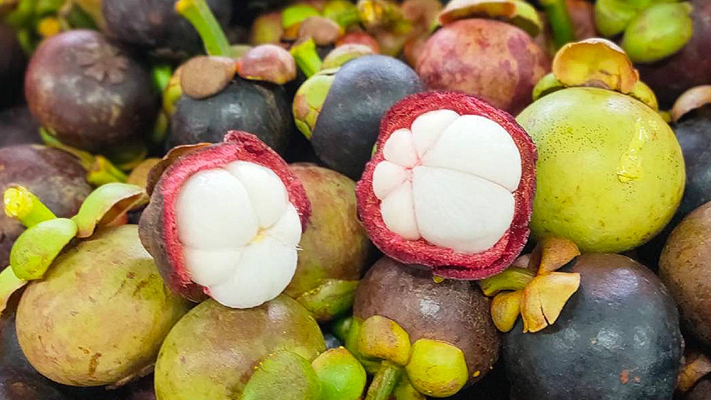 รัฐเร่งกระจาย 'มังคุด' ช่วยเหลือเกษตรกร