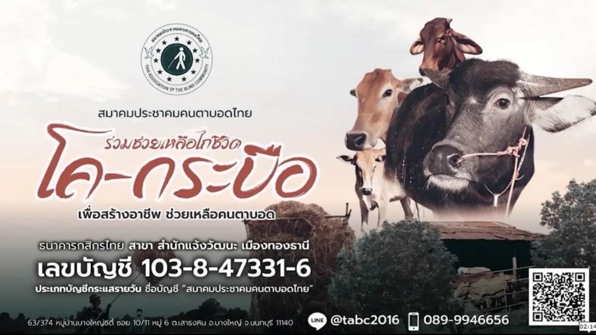 สมาคมประชาคมคนตาบอดไทย ชวนสร้างบุญใหญ่ เนื่องในวัน “วันวิสาขบูชา” ไถ่ชีวิตโค-กระบือ สมาคมประชาคมคนตาบอดไทย ชวนสร้างบุญใหญ่ เนื่องในวัน “วันวิสาขบูชา” ไถ่ชีวิตโค-กระบือ
