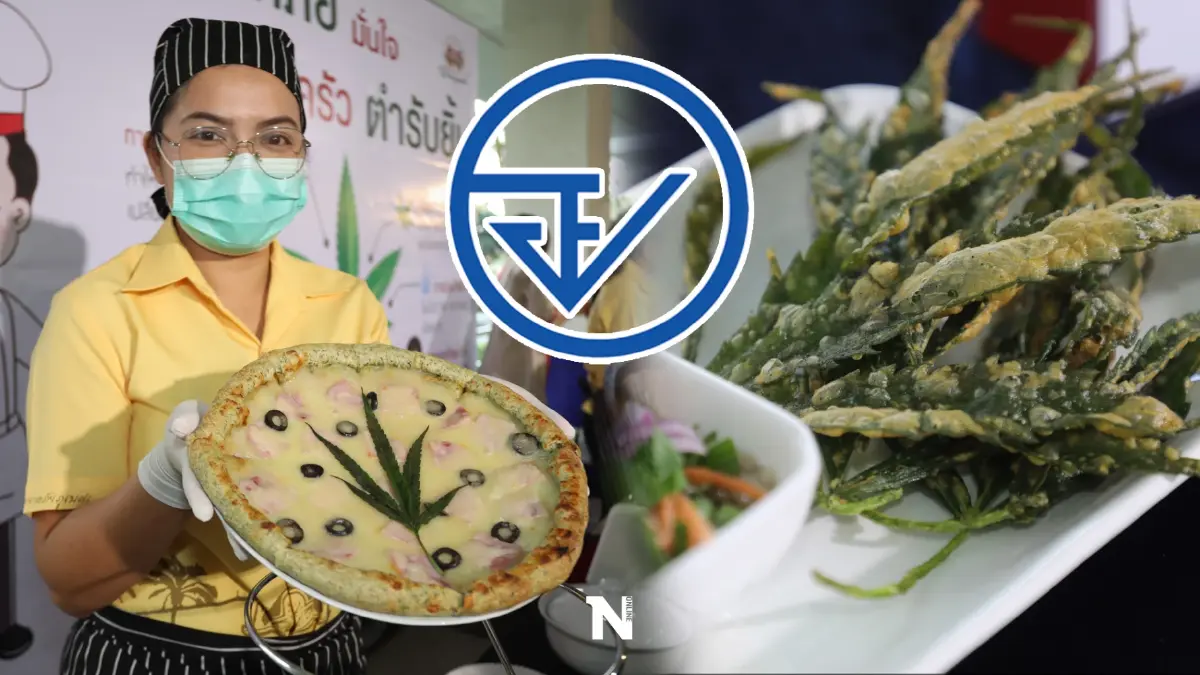 อย. เผยหลักเกณฑ์การนำ "กัญชา-กัญชง" ใช้ประกอบอาหาร ตรวจสอบเงื่อนไขที่นี่!