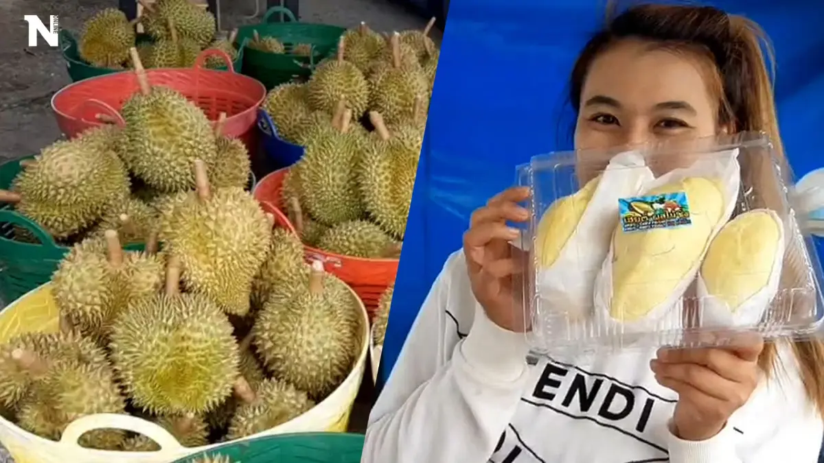 คนท้องชิมทุเรียนฟรี จัดโปรโมชั่นคืนกำไร คนท้องชิมทุเรียนฟรี จัดโปรโมชั่นคืนกำไร
