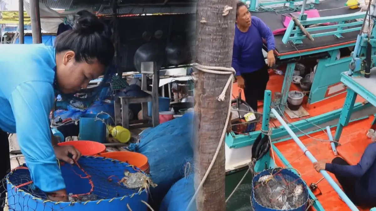 ประมงพื้นบ้าน 'เกาะกูด' เงินสะพัดวันละ 5 พัน!