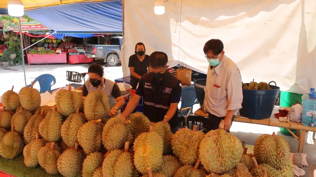 ศูนย์ชั่งตวงวัดตรวจเครื่องชั่งเชิงรุกรับฤดูผลไม้ให้ทุกเครื่องมีมาตรฐาน ศูนย์ชั่งตวงวัดตรวจเครื่องชั่งเชิงรุกรับฤดูผลไม้ให้ทุกเครื่องมีมาตรฐาน