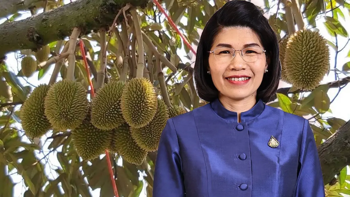 "ทุเรียนโอโซน"ผลผลิตเกษตรแปลงใหญ่ ชัยภูมิเปิดจอง พ.ค.นี้