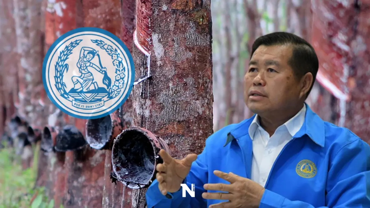 "นิพนธ์"ยันปชป.-รัฐบาลดูแลเกษตรกรเต็มที่หลังราคาน้ำยางพุ่งแตะ 64 บาท
