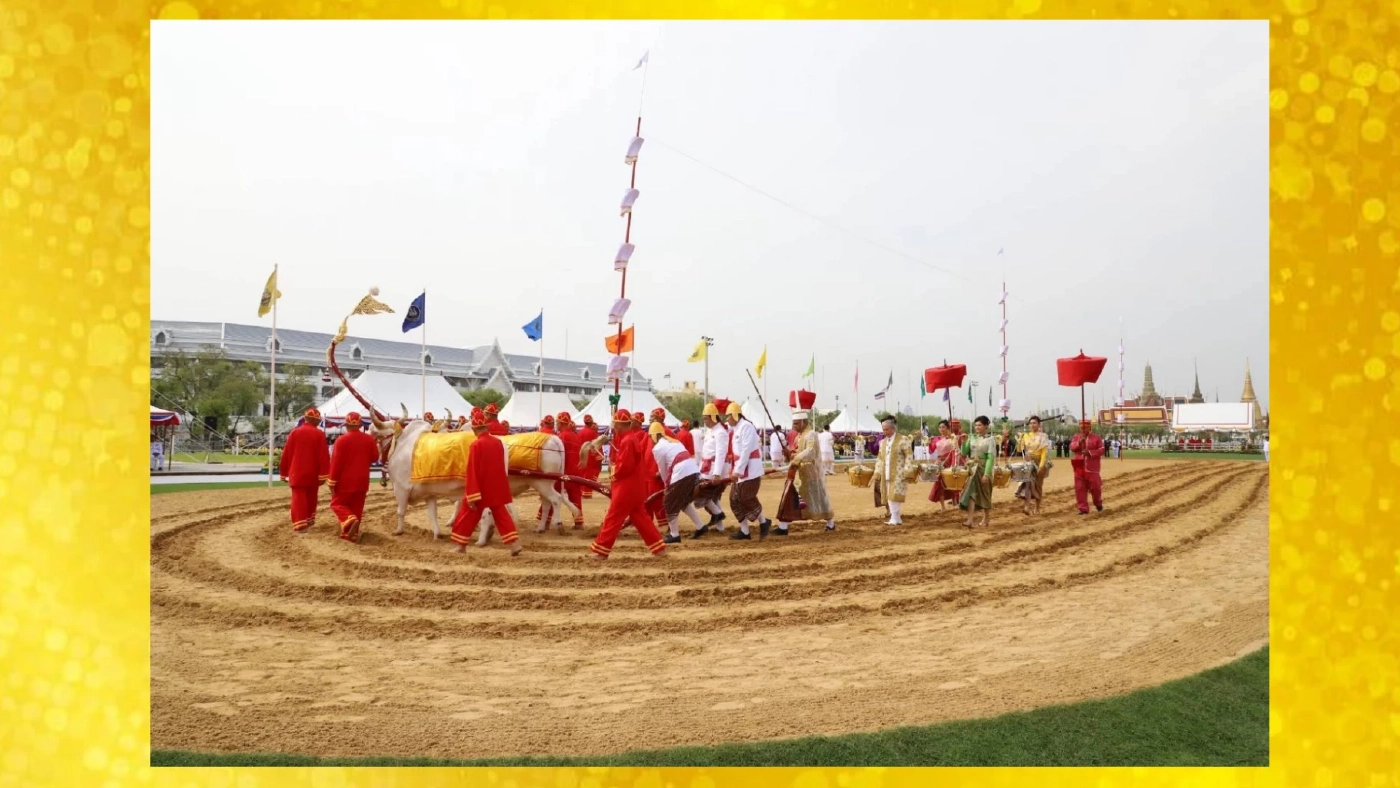พระราชพิธีพืชมงคล ทำขวัญพืชพันธุ์ธัญญาหาร เริ่มต้นฤดูกาลเพาะปลูกข้าว