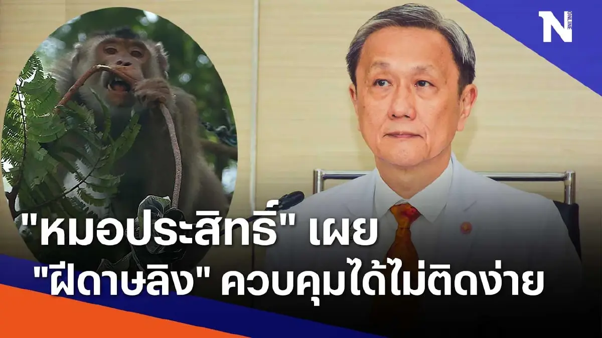 "หมอประสิทธิ์" เผย "ฝีดาษลิง" ควบคุมได้ไม่ติดง่าย "หมอประสิทธิ์" เผย "ฝีดาษลิง" ควบคุมได้ไม่ติดง่าย
