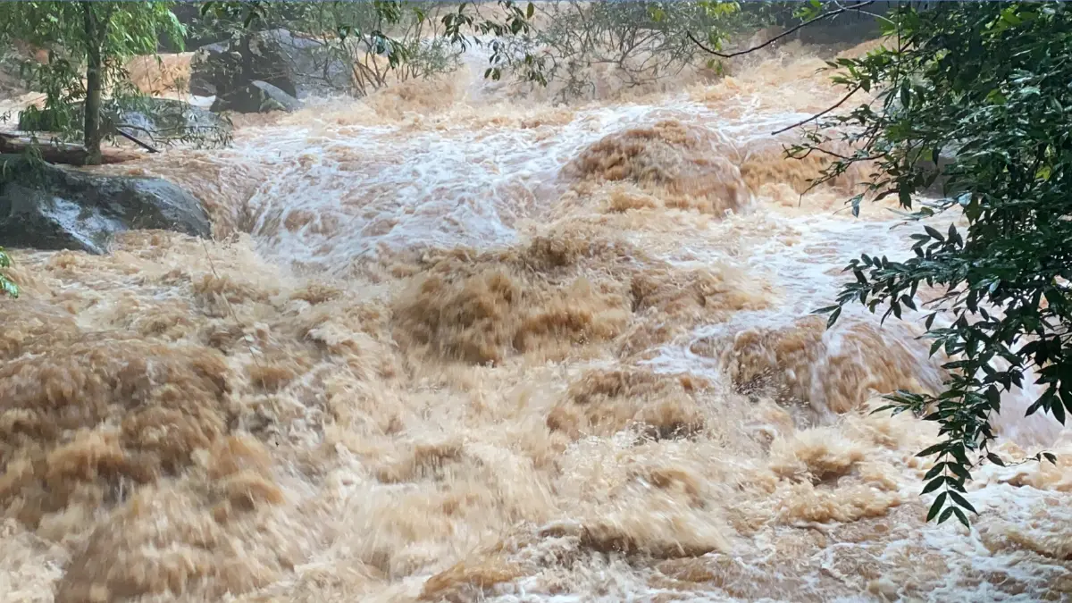 พยากรณ์อากาศวันนี้ ทั่วทุกภาคยังคงมีฝนหนัก ตะวันออก-อีสาน หนักสุด