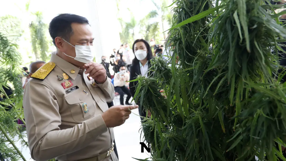 "อนุทิน" ย้ำจุดยืนปลดล็อกใช้ "กัญชา-กัญชง" เพื่อการแพทย์ เน้นดูแลสุขภาพ