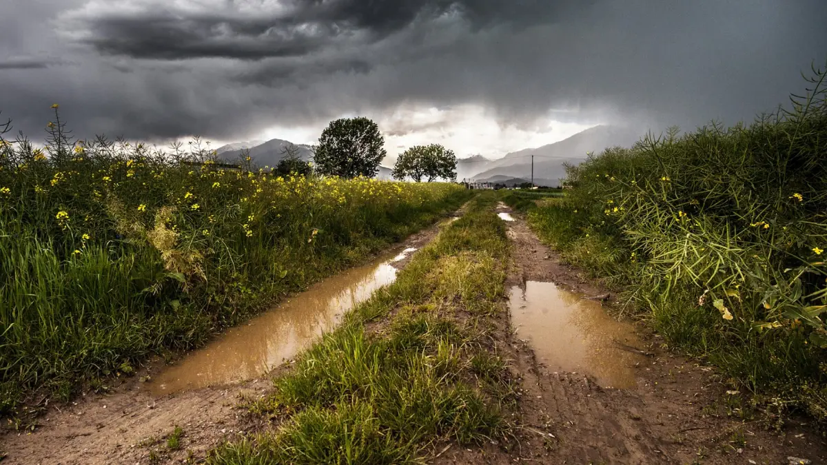 สภาพอากาศวันนี้ อุตุฯ เผย ฝนตกหนักทั่วทุกภาค ใต้ คลื่นลมแรง