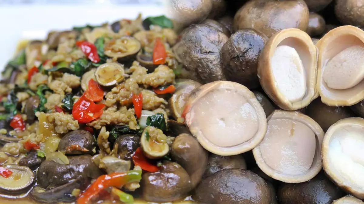 ต้อนรับฤดูกาล 'กะเพราเห็ดเผาะ' เมนูเด็ดปีละครั้ง!