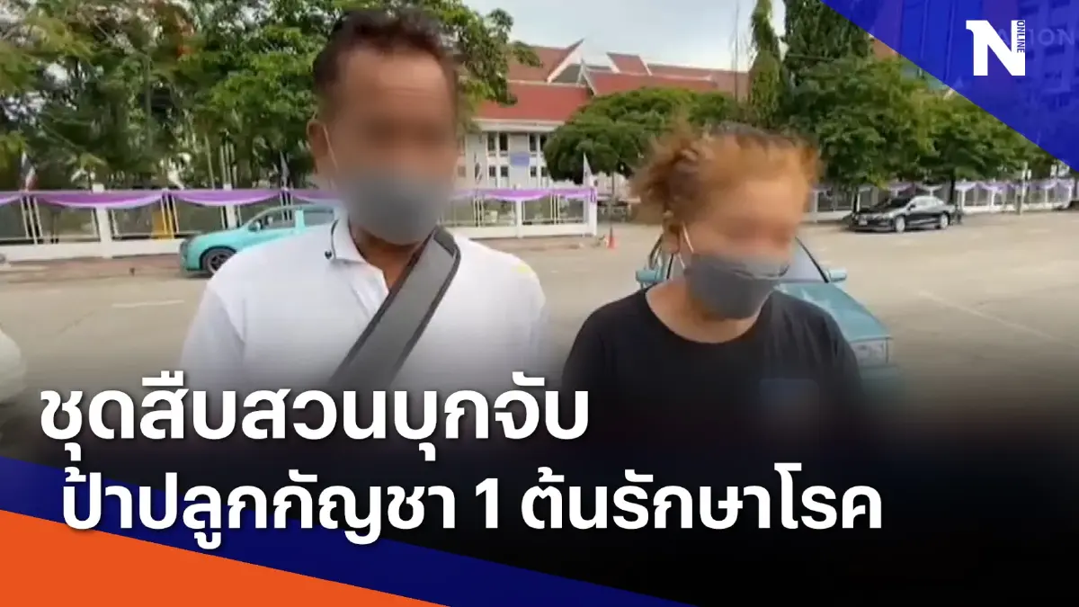 ชุดสืบสวนบุกจับป้าปลูกกัญชา 1 ต้นรักษาโรค | เนชั่นทันข่าวค่ำ | NationTV22 ชุดสืบสวนบุกจับป้าปลูกกัญชา 1 ต้นรักษาโรค | เนชั่นทันข่าวค่ำ | NationTV22